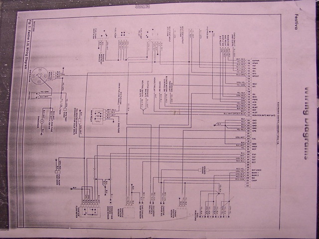 festivawiringdiagram